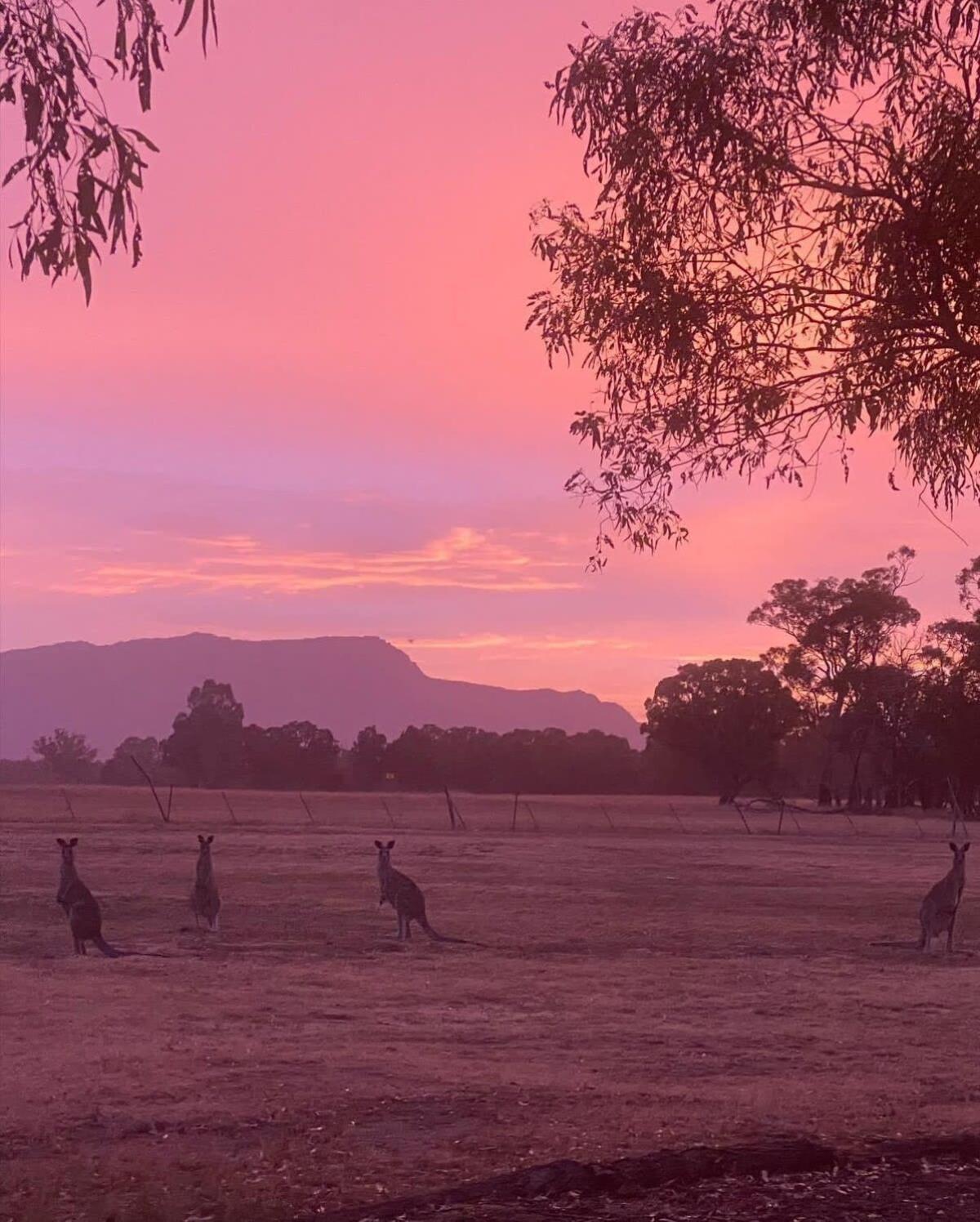 Tiny Homes Escape At Grampians Edge By Tiny Away Holiday home *